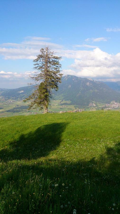 Ferienwohnung Schoenau Immenstadt im Allgäu Eksteriør bilde